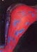 sg17